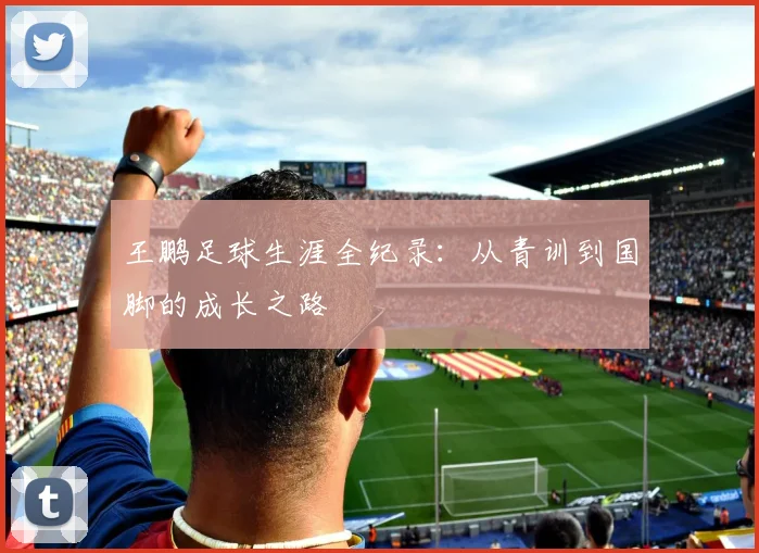 王鹏足球生涯全纪录：从青训到国脚的成长之路