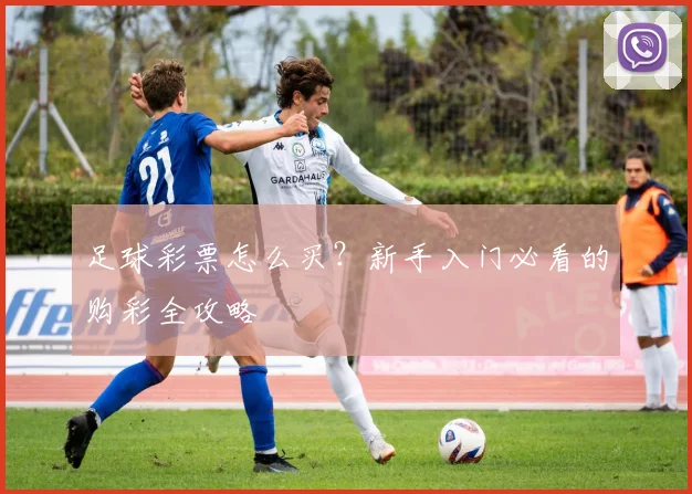 足球彩票怎么买？新手入门必看的购彩全攻略