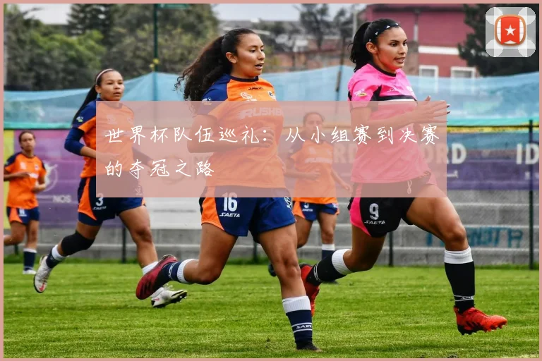 世界杯队伍巡礼：从小组赛到决赛的夺冠之路