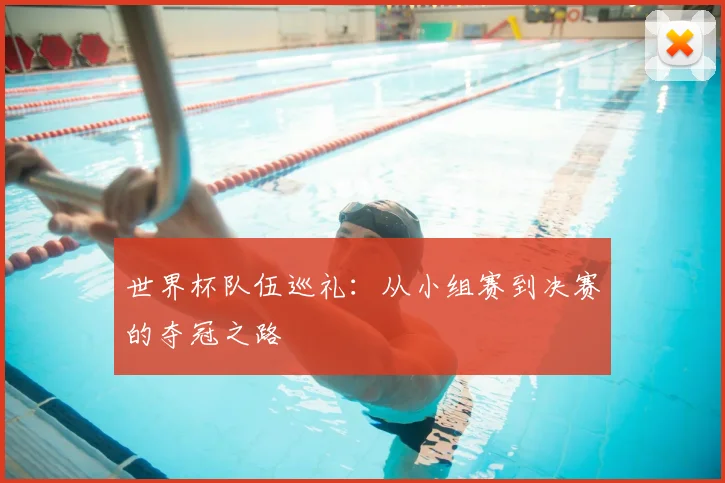 世界杯队伍巡礼：从小组赛到决赛的夺冠之路